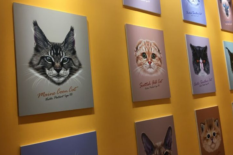 Orange Cat Planet Museum